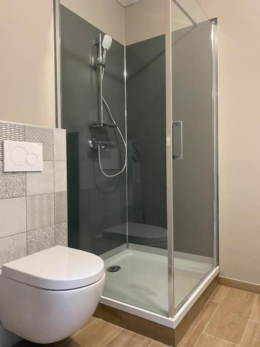 Appartement Proximite Centre มูลูส ภายนอก รูปภาพ